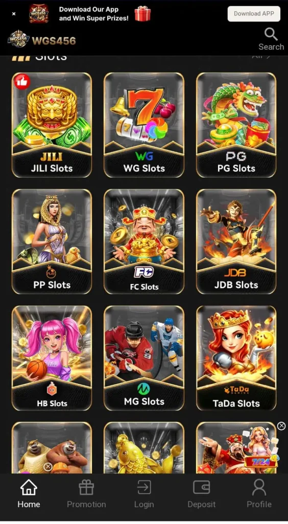 WGS456 Game