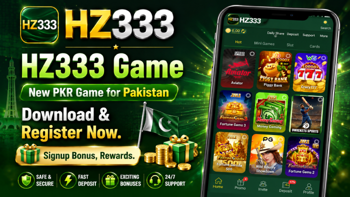 HZ333 Game 